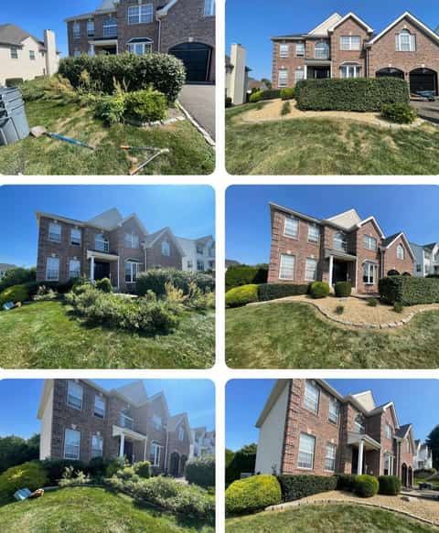 Neatly trimmed hedge and shrub landscaping service